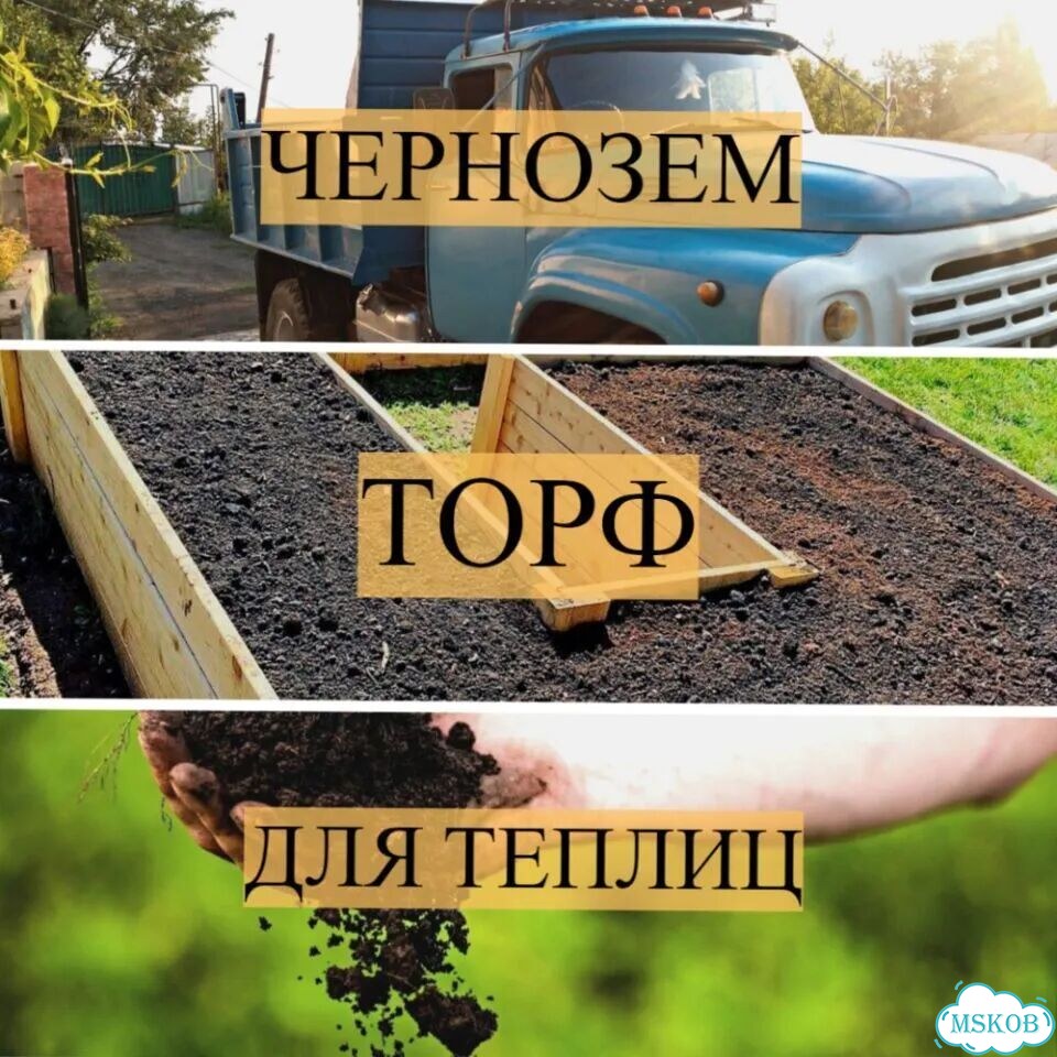 Чернозем фото 1
