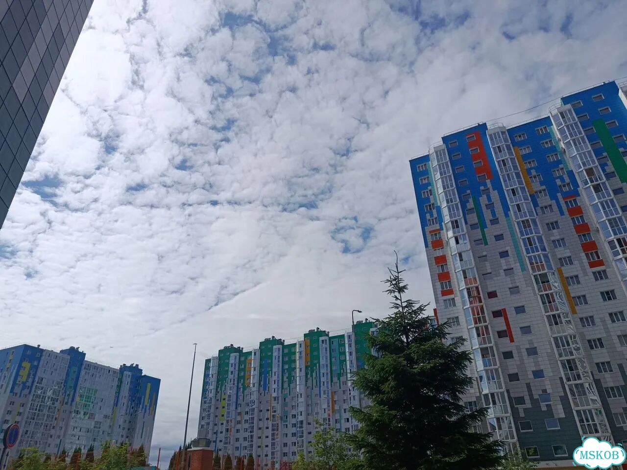 1-к. квартира, 48 м², 11/17 эт. фото 2