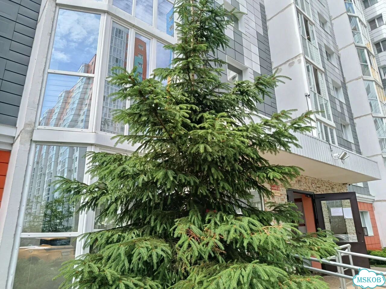 1-к. квартира, 48 м², 11/17 эт. фото 3