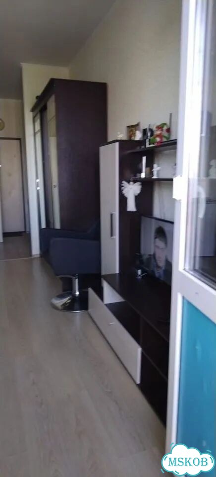 Квартира-студия, 23,5 м², 16/17 эт. фото 4