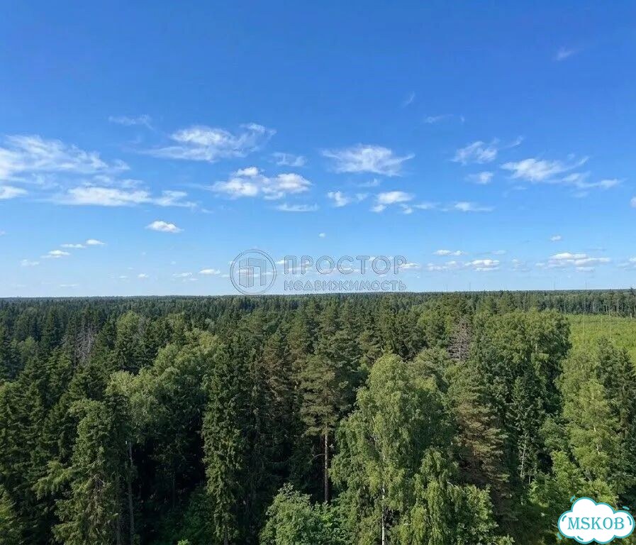 3-к. квартира, 75,6 м², 13/17 эт. фото 5