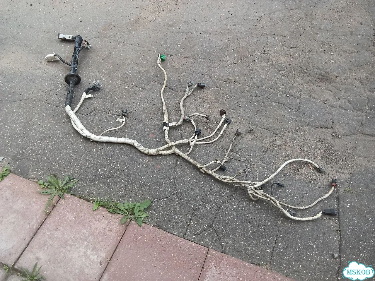 Проводка двигателя SR20 Nissan Serena C24 фото 3