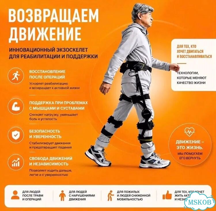 Ищем инвестора: экзоскелеты и экозоколяски фото 4