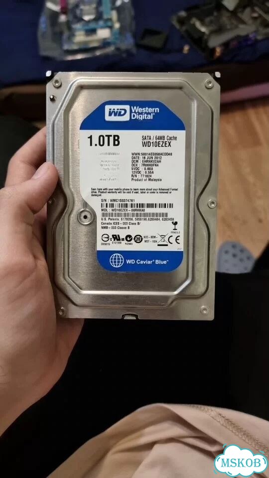 HDD 3.5 WD Blue 1TB фото 1