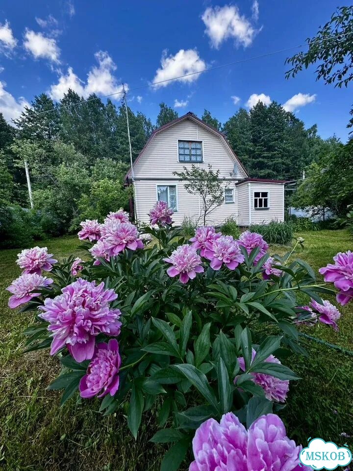 Дача 62,5 м² на участке 6 сот. фото 2
