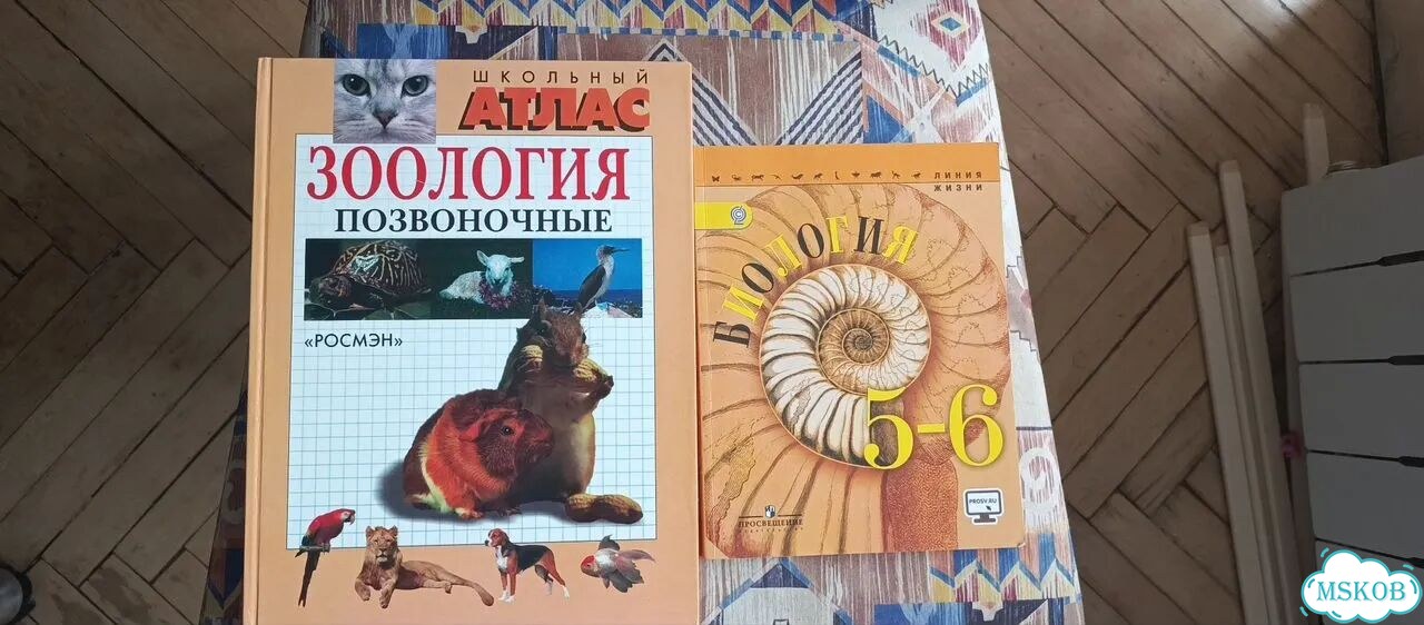 Учебник по биологии 6 класс фото 1