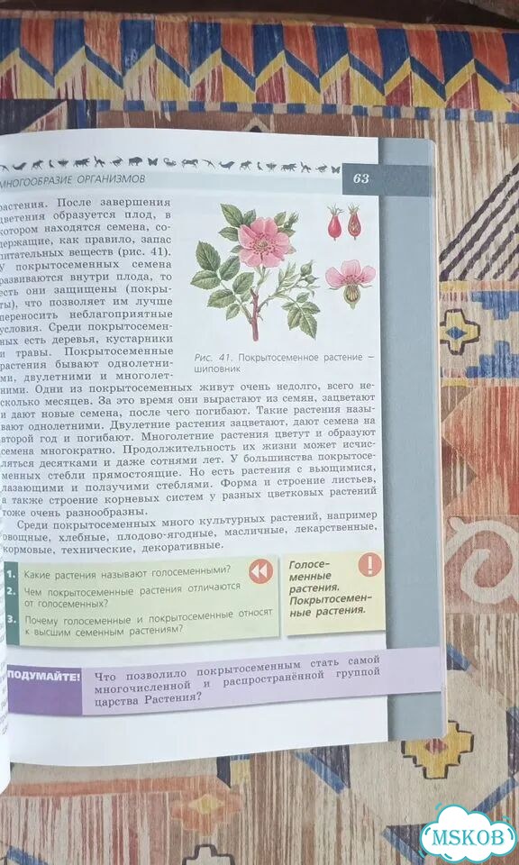 Учебник по биологии 6 класс фото 10