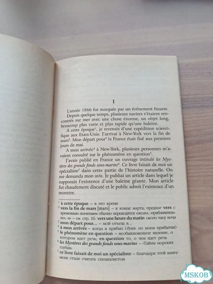 Капитан Немо на французском языке фото 4