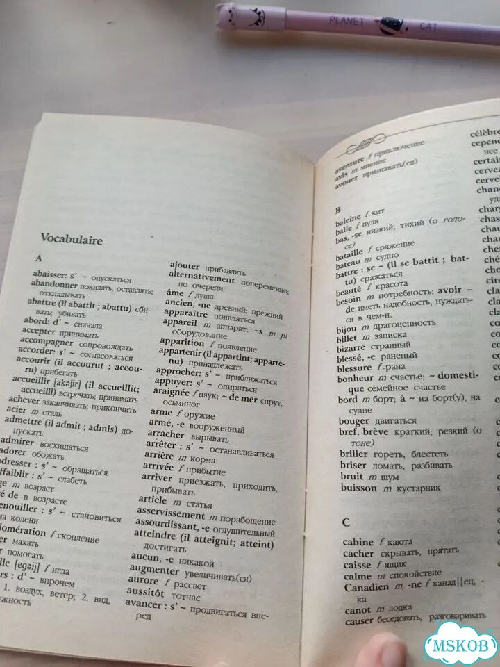 Капитан Немо на французском языке фото 7