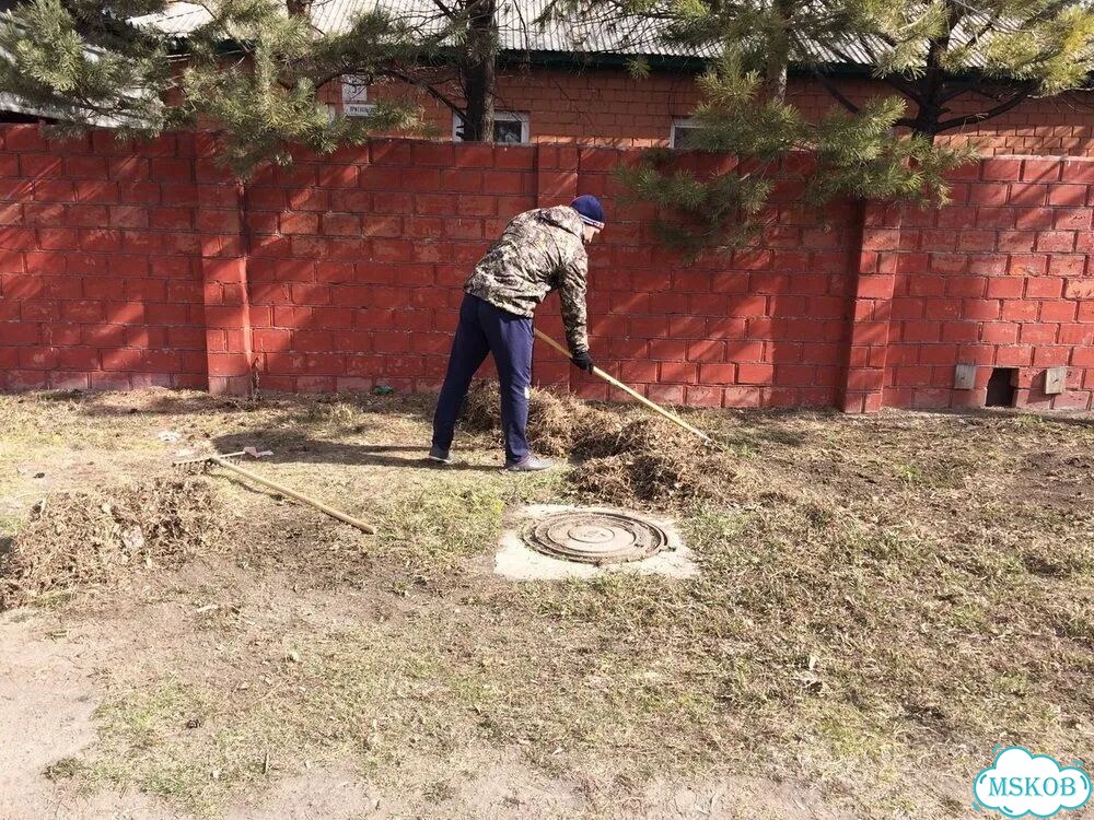 Грузчики на час фото 8