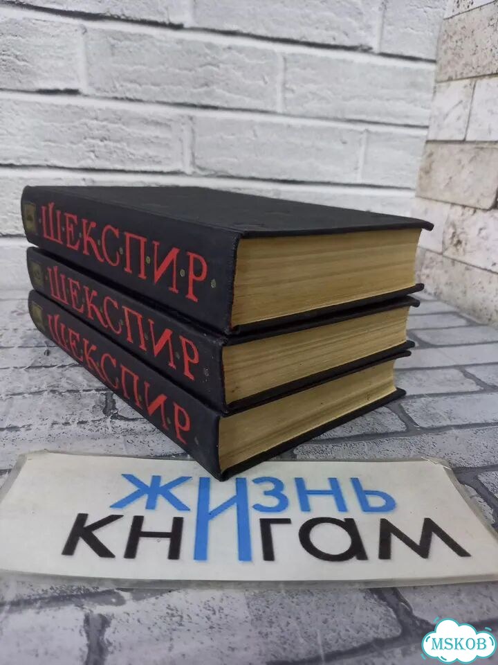 Взрослый кот в добрые руки фото 3