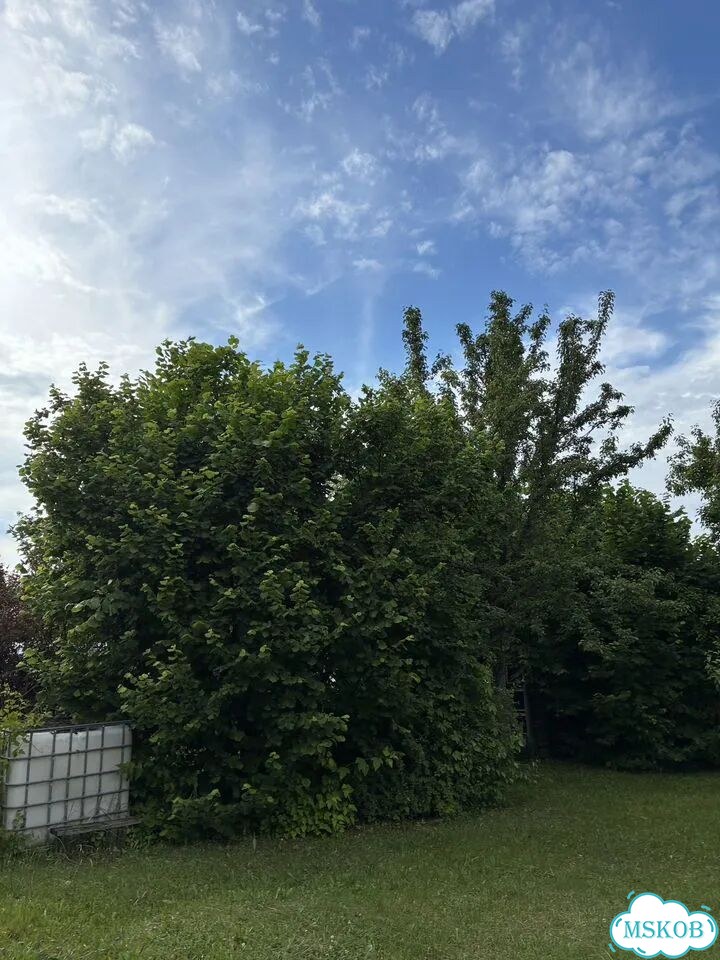 Дача 91,1 м² на участке 10,16 га фото 38