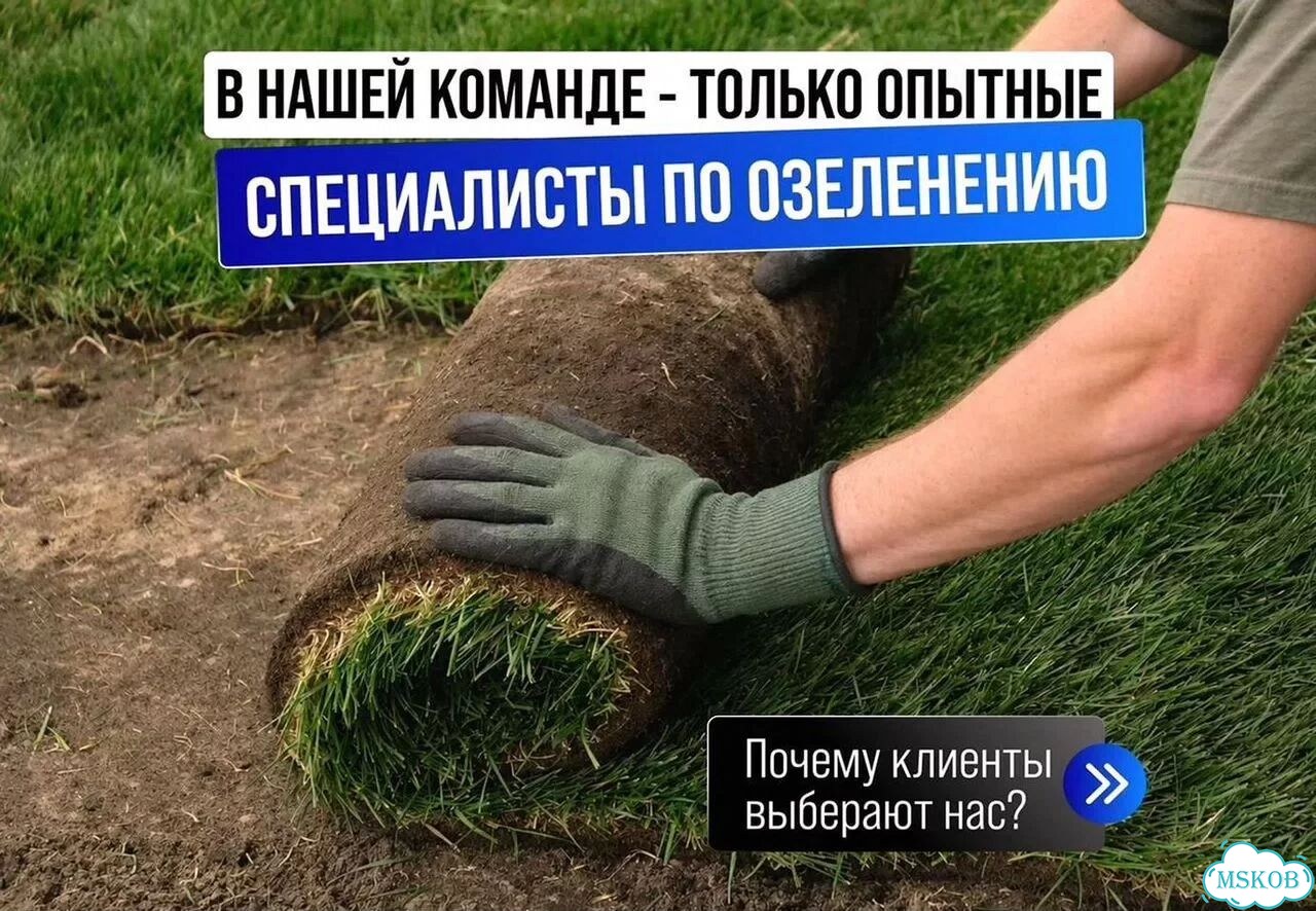 Рулонный газон за 1 день с гарантией фото 1