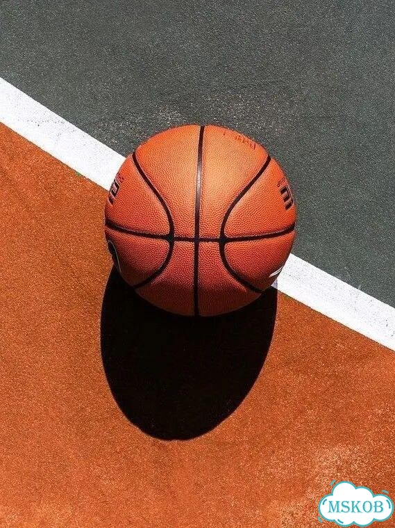 Баскетбольный мяч wilson 7 фото 1