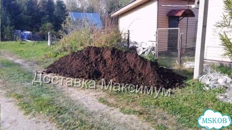 Чернозём сеяный фото 1
