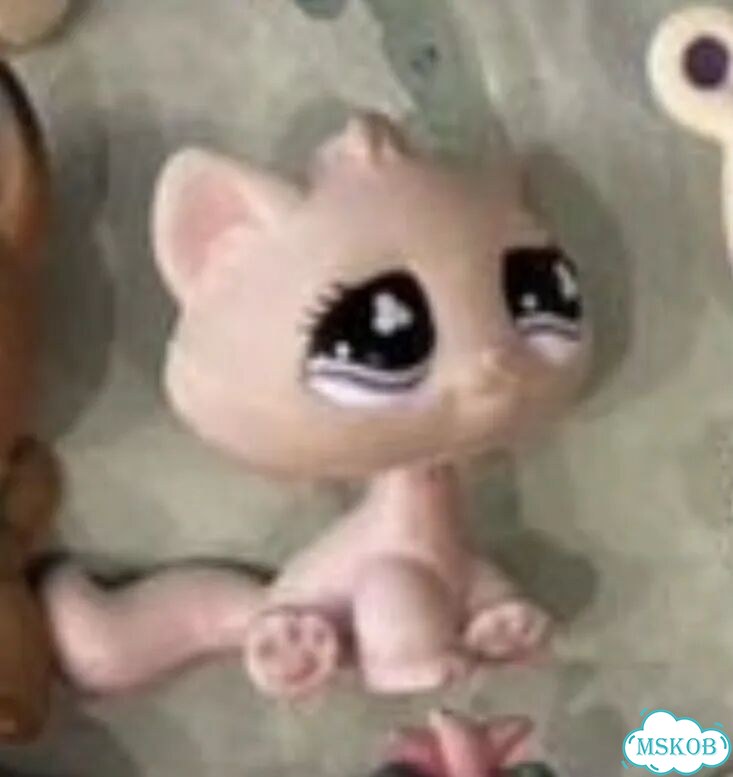 Littlest pet shop lps фото 1