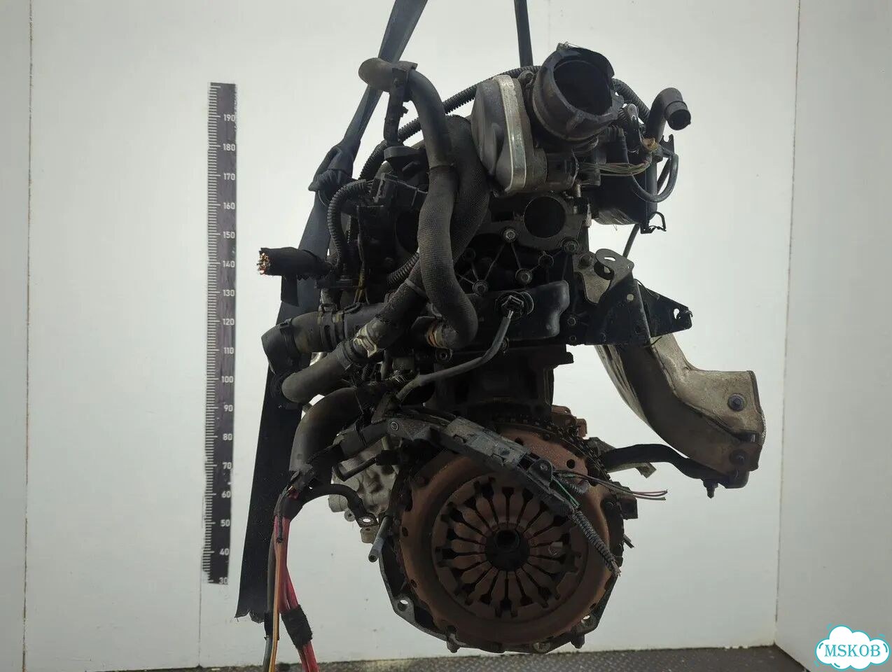Двигатель Renault Megane 3 K4M 848 фото 1