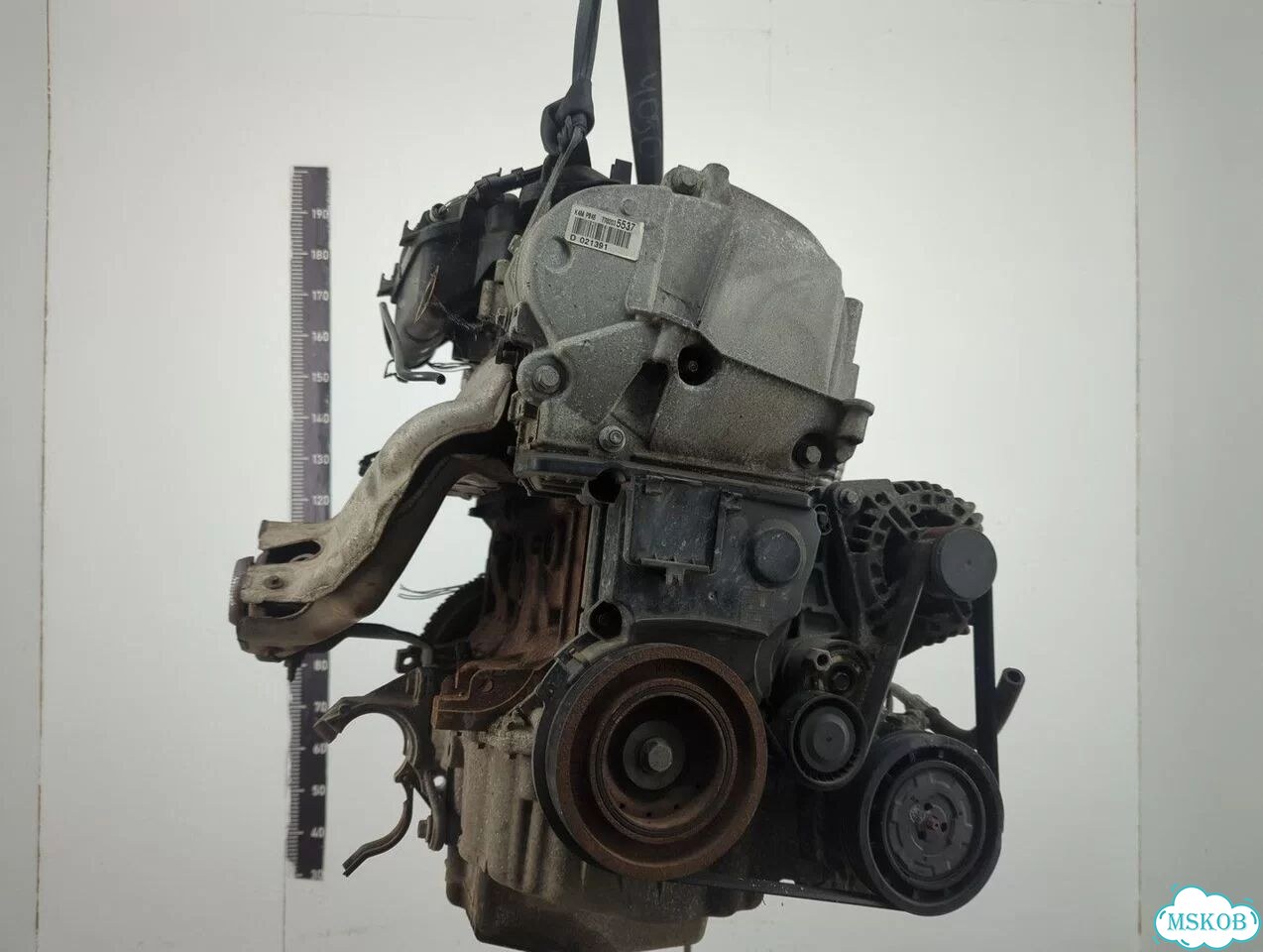 Двигатель Renault Megane 3 K4M 848 фото 4