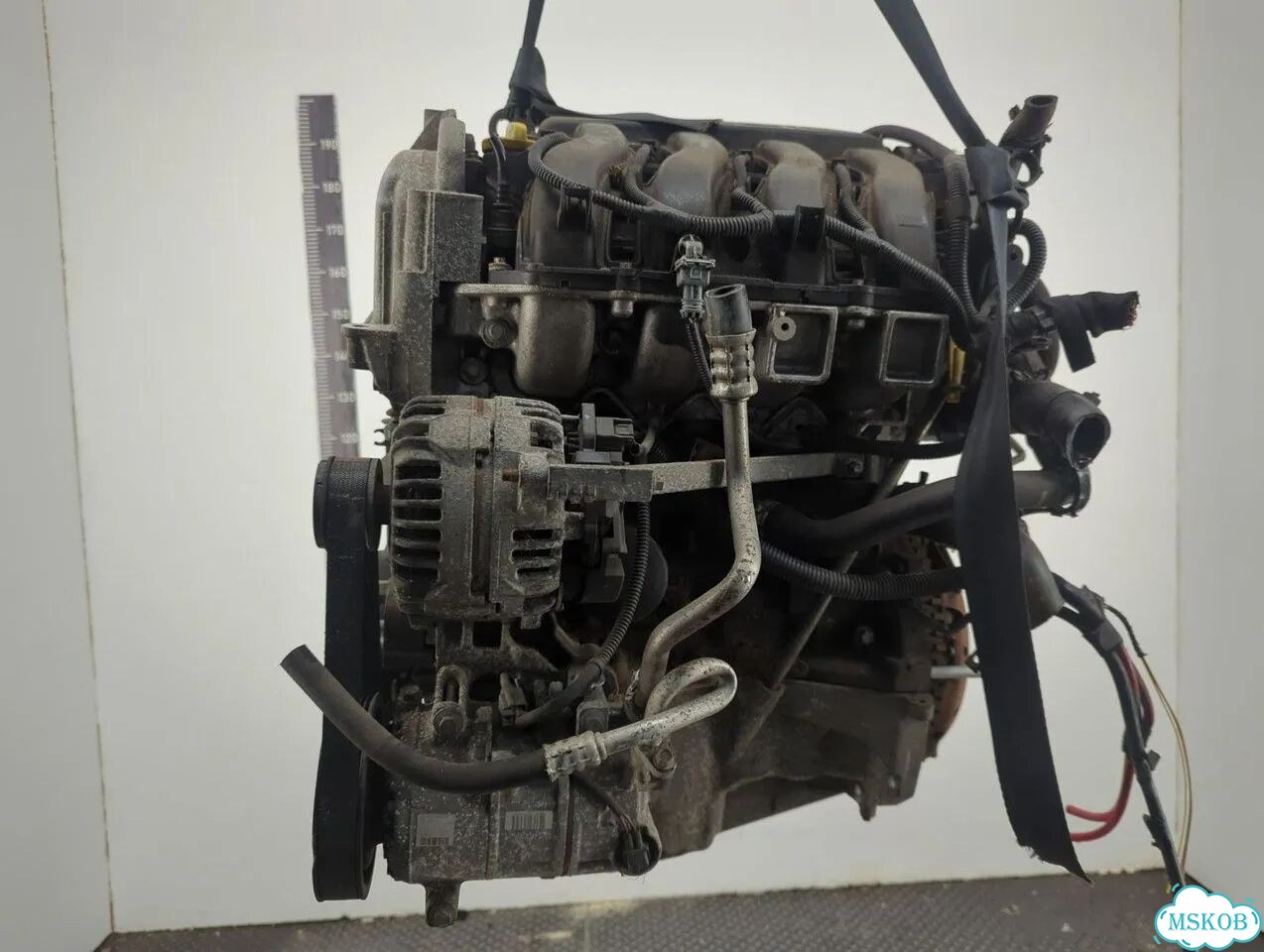Двигатель Renault Megane 3 K4M 848 фото 5