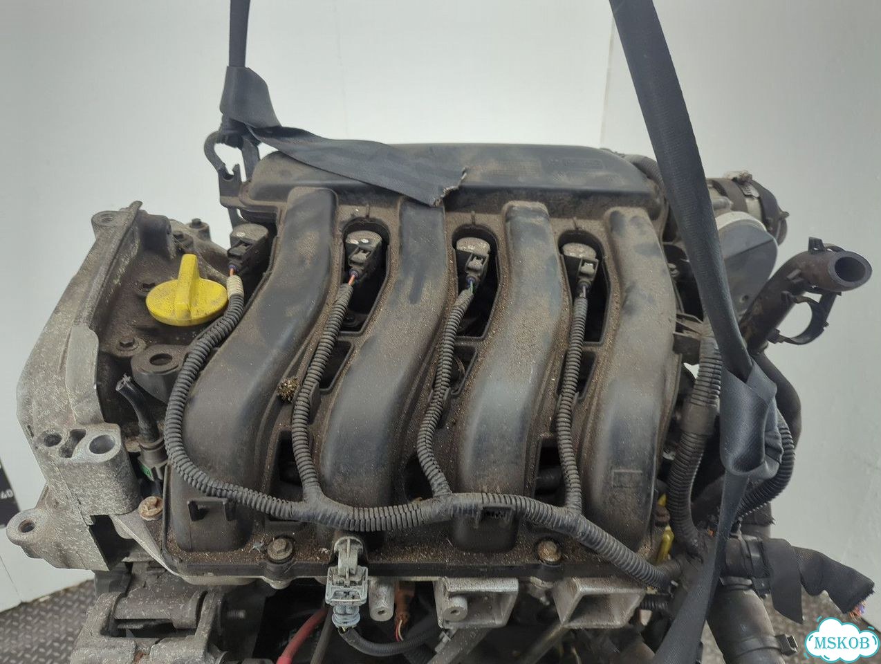 Двигатель Renault Megane 3 K4M 848 фото 6