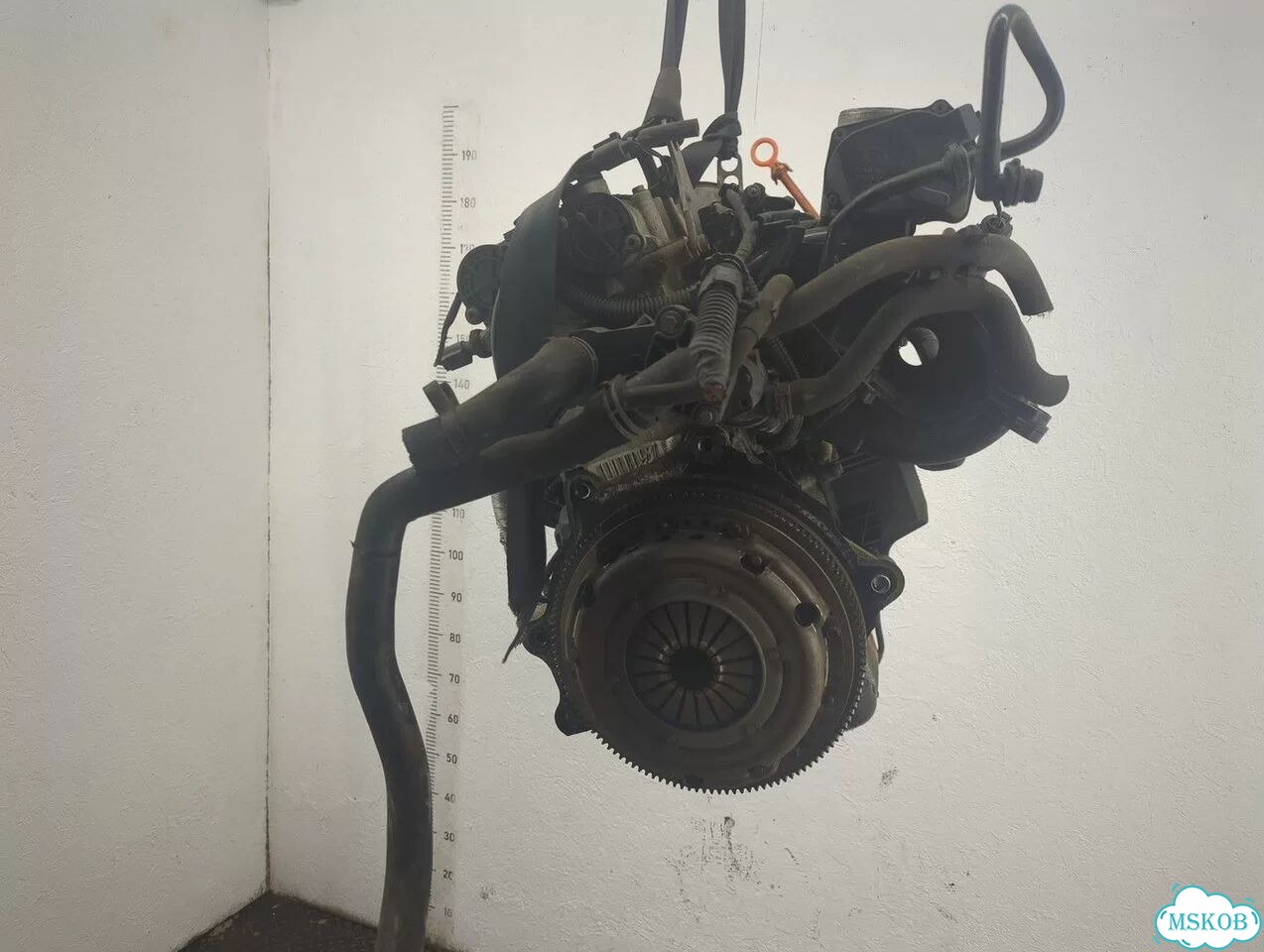 Двигатель Seat Ibiza 4 cggb фото 4