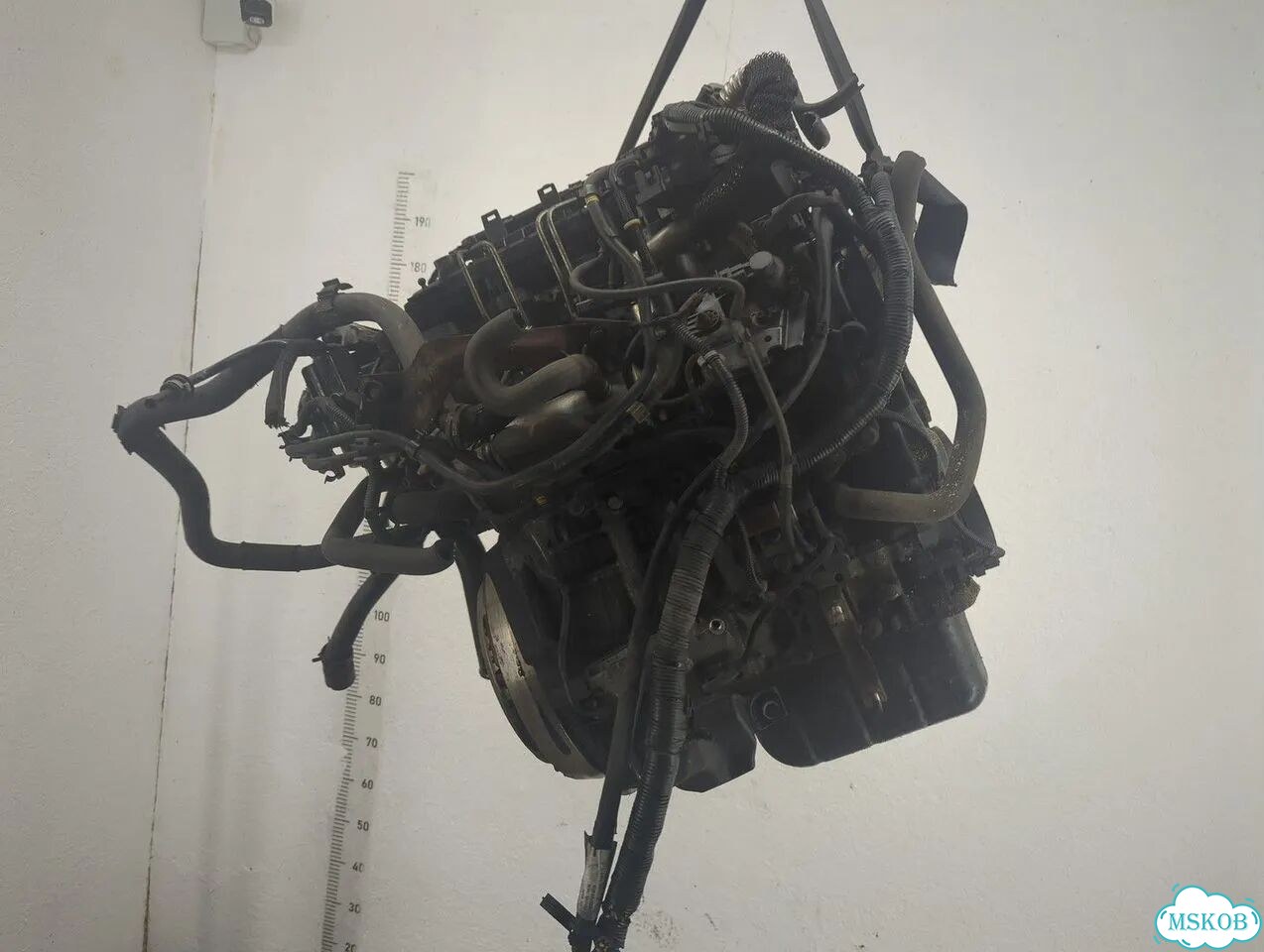 Двигатель Volvo V50 D4164T фото 3