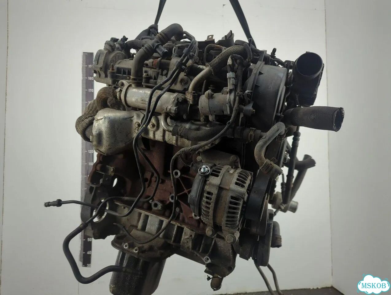 Двигатель Land Rover Range Rover Sport 276DT фото 10