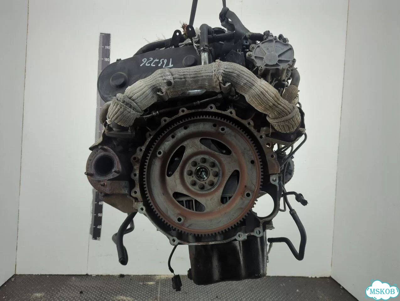Двигатель Land Rover Range Rover Sport 276DT фото 7
