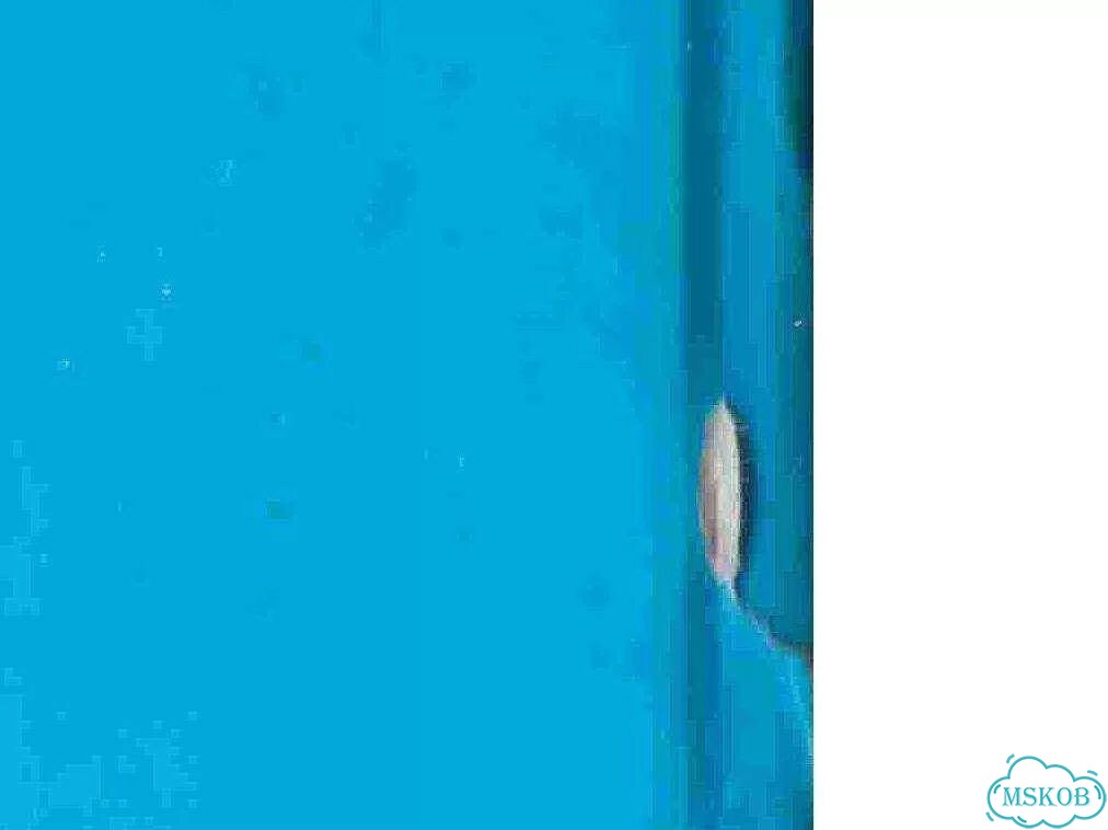 Книга о действии Промысла Божия фото 7