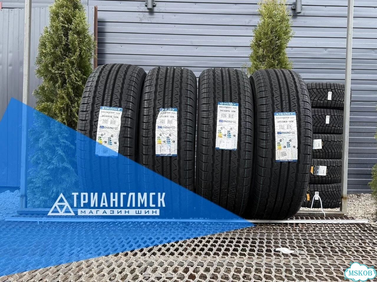 Triangle TR259 215/65 R16 95Y фото 1