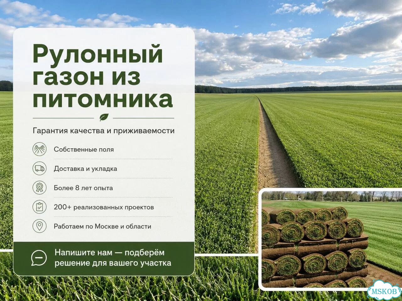 Рулонный газон для участка фото 1