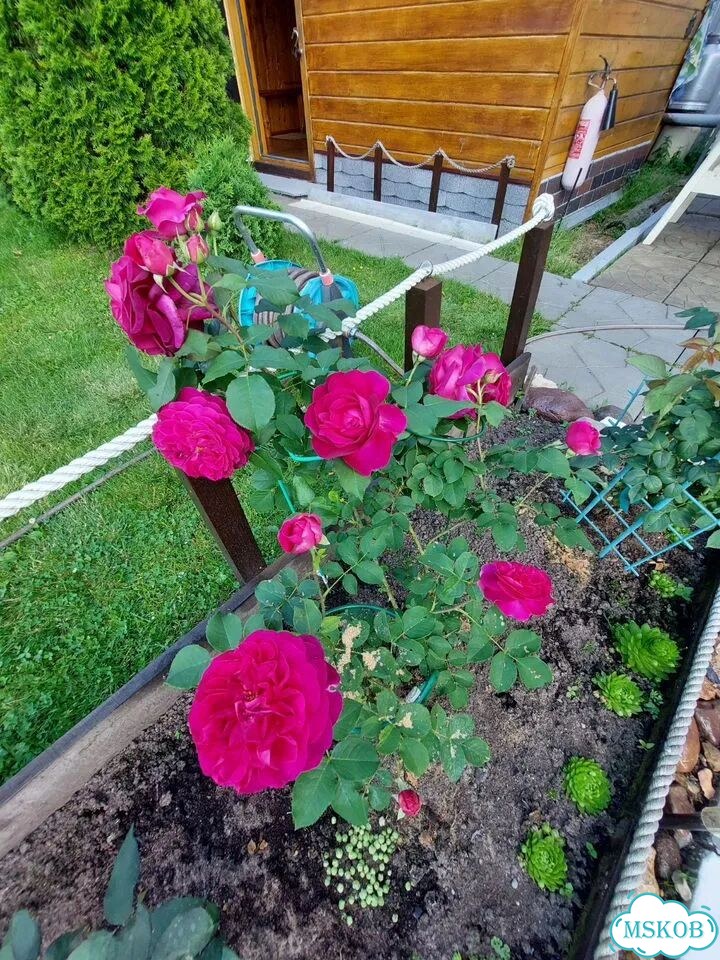 Дача 24 м² на участке 6 сот. фото 23