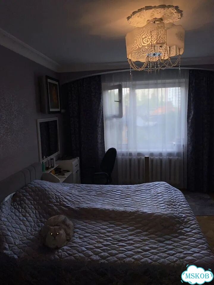 2-к. квартира, 51 м², 3/17 эт. фото 12