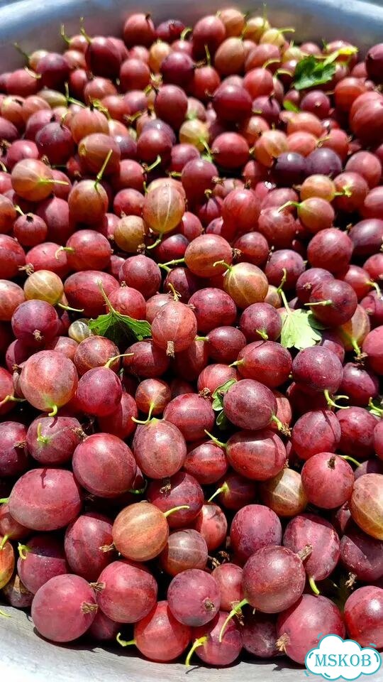 Сладкие букеты из зефира фото 10