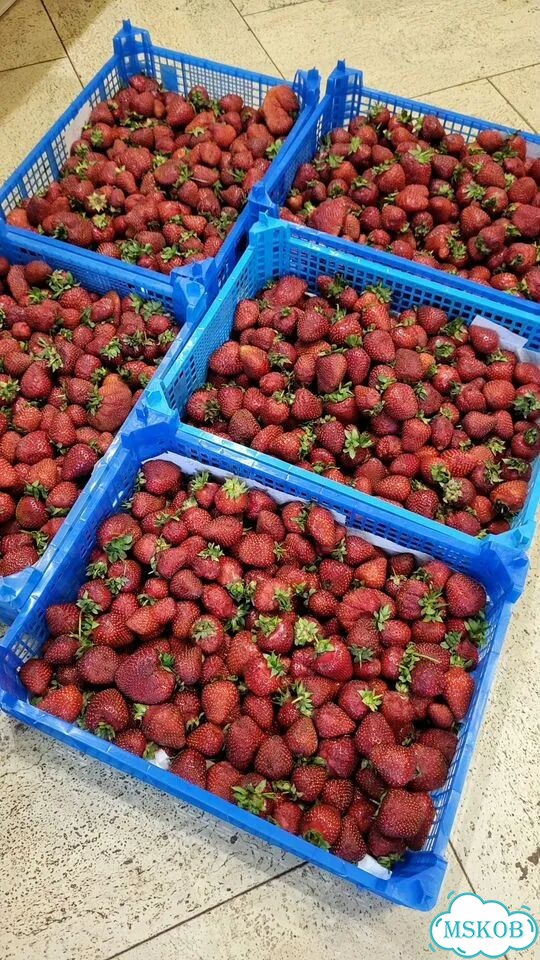 Сладкие букеты из зефира фото 6