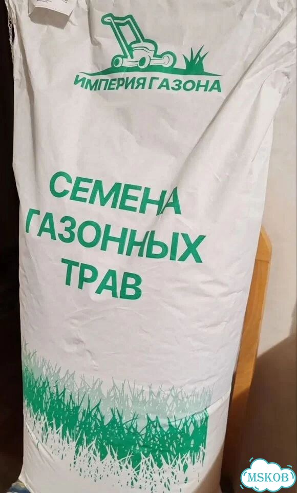Газон дачный фото 1