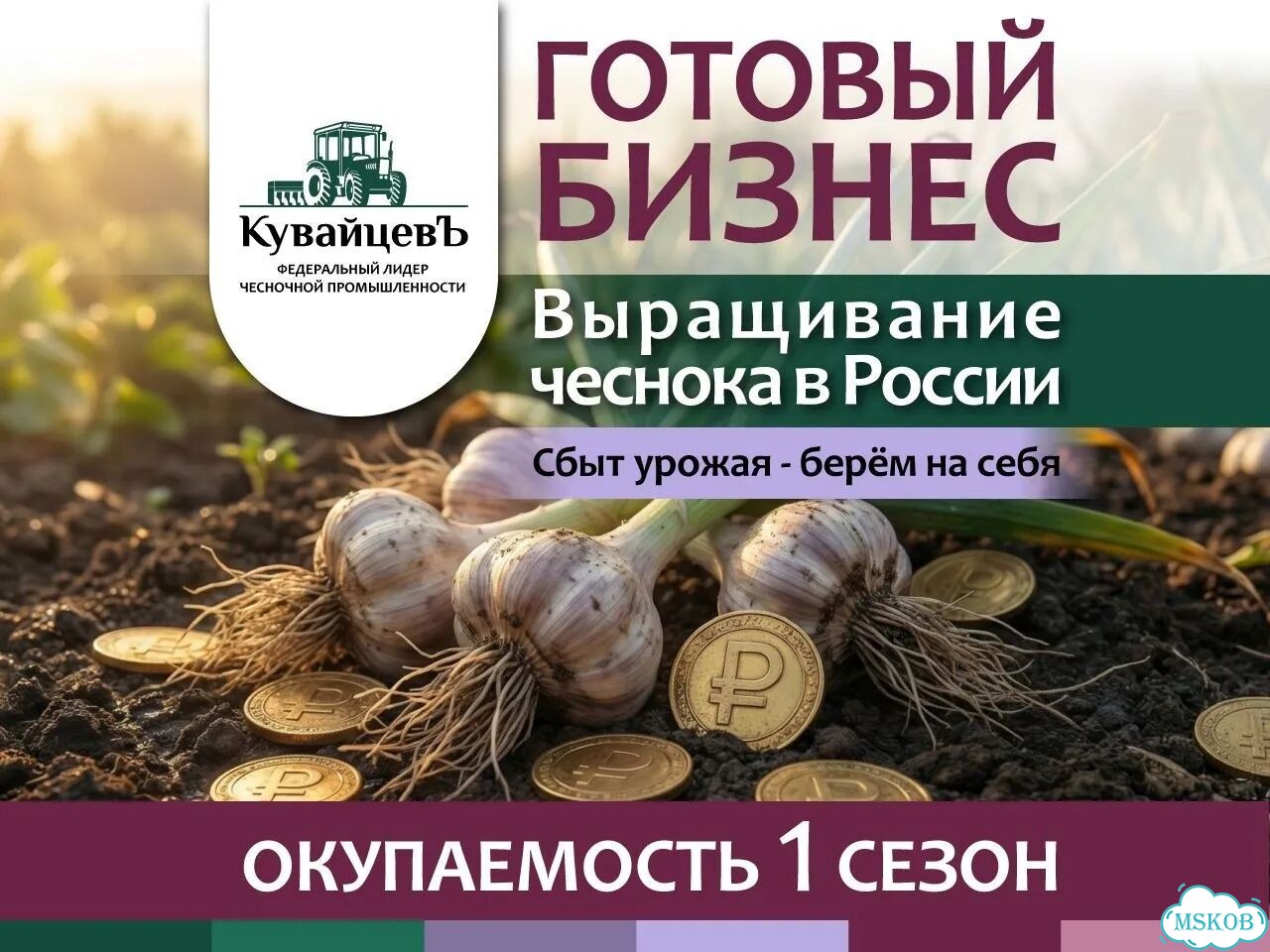 Франшиза по выращиванию чеснока фото 1