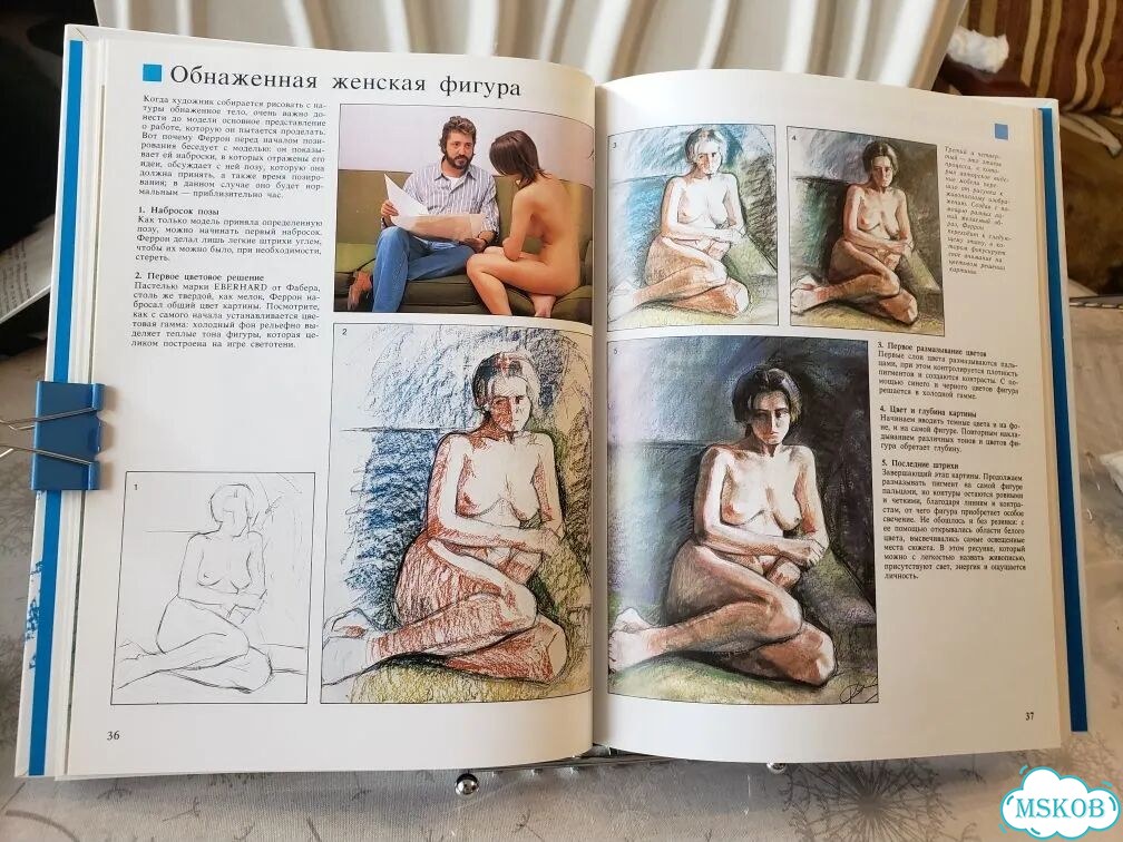 Книга Живопись пастелью, мелками, сангинами и фото 3