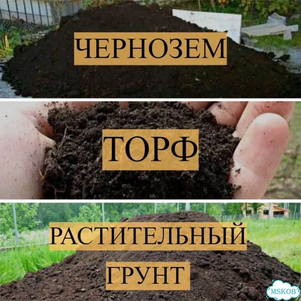 Чернозем Торфосмесь фото 1
