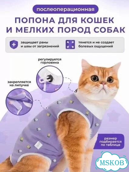 Попона для кошек фото 1