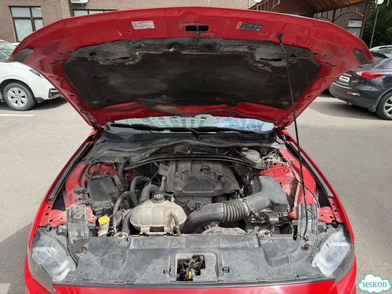 Ford Mustang 2.3 AT, 2019, 61 500 км фото 15