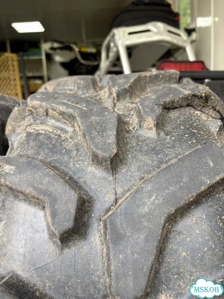 Deestone SW415 185/55 R13 и 26/10 R12 фото 4