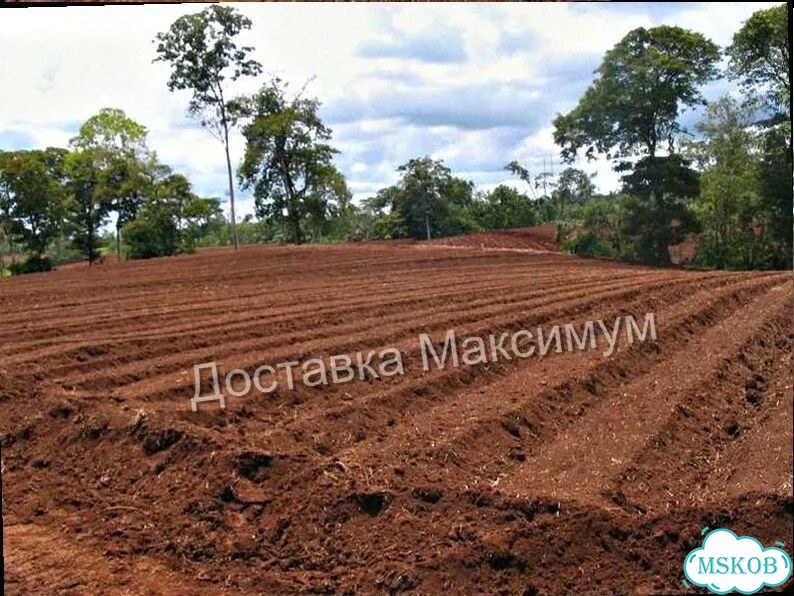 Доставка грунта фото 3