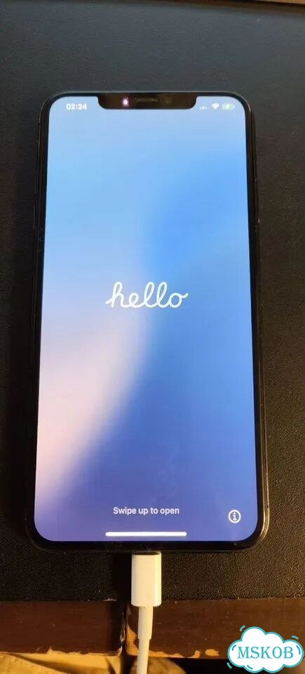 iPhone Xs Max, 256 ГБ, 2 SIM фото 1
