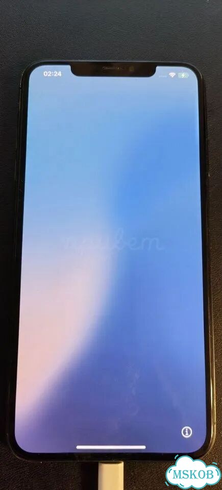 iPhone Xs Max, 256 ГБ, 2 SIM фото 2