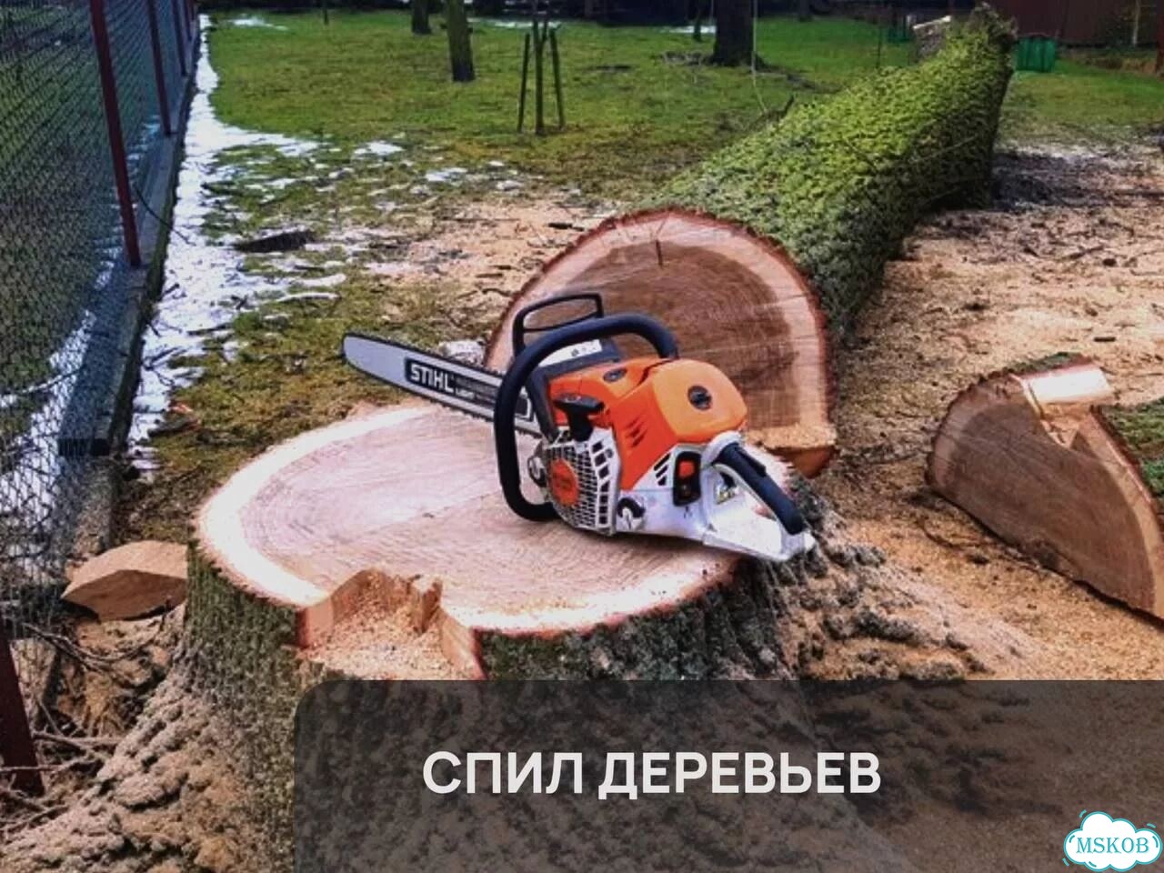 Расчистка участка под ключ фото 6