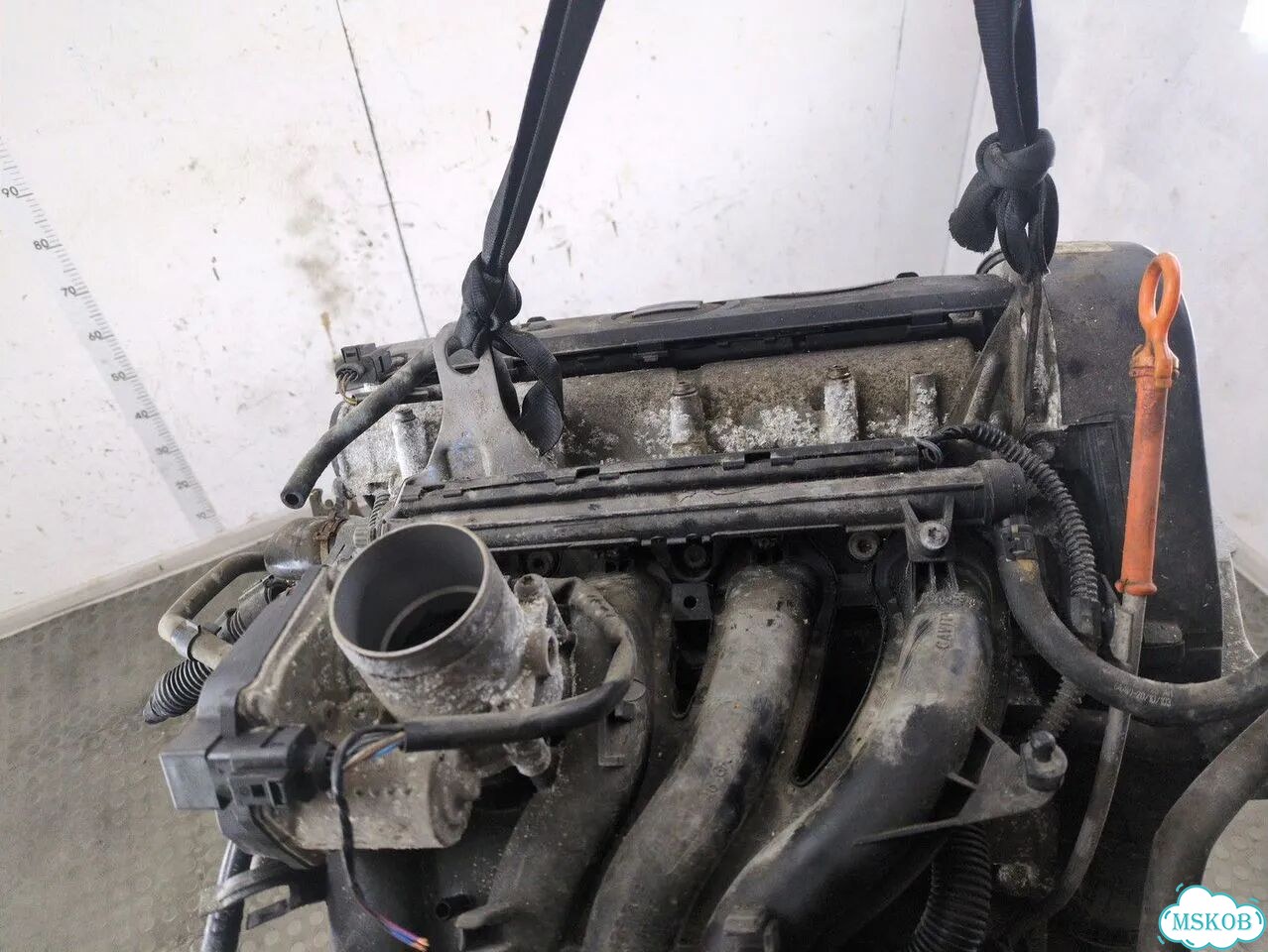 Двигатель Seat Ibiza 4 cggb фото 5