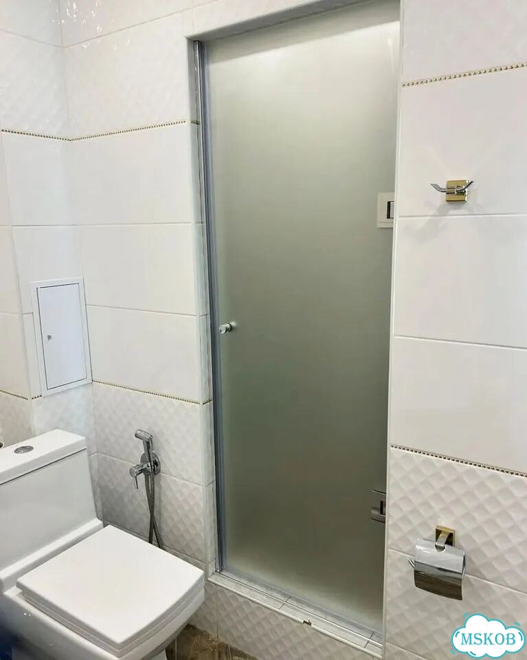 Двери из стекла в нишу фото 4