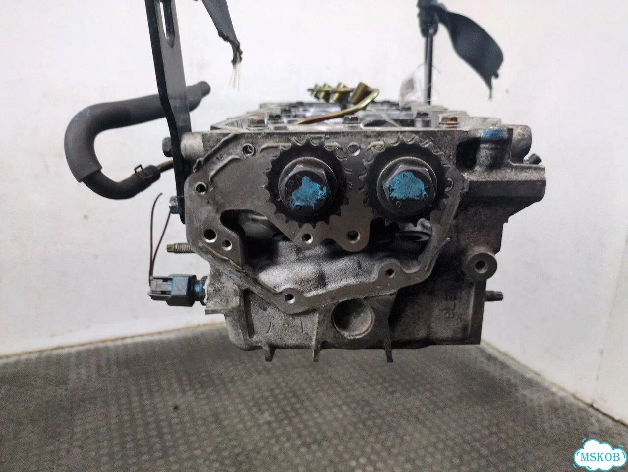 Головка блока (ГБЦ) Nissan Pathfinder YD25ddti фото 4