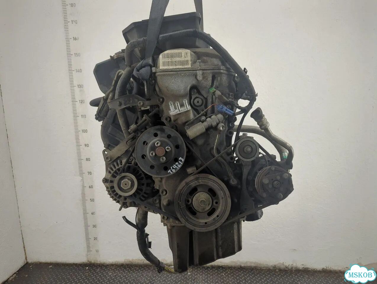 Двигатель Suzuki SX4 M16A фото 1